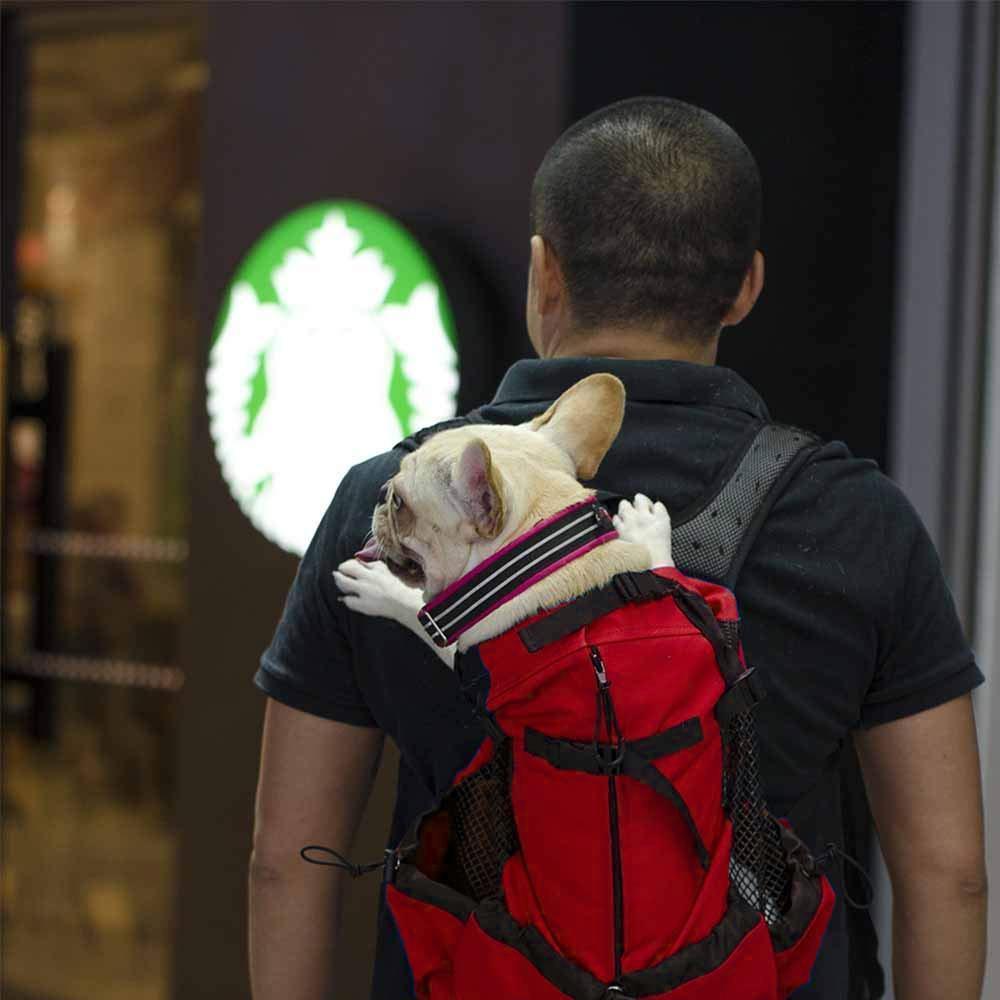 Rucksack – 3