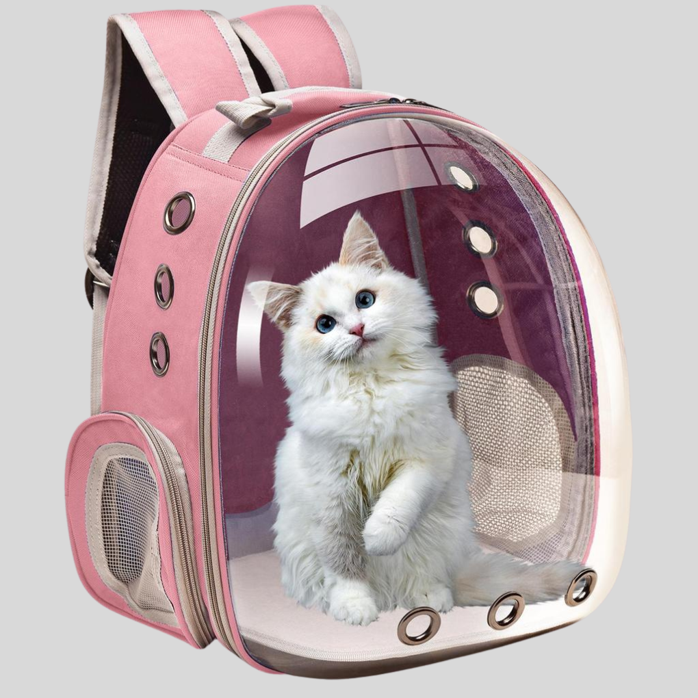 Rucksack