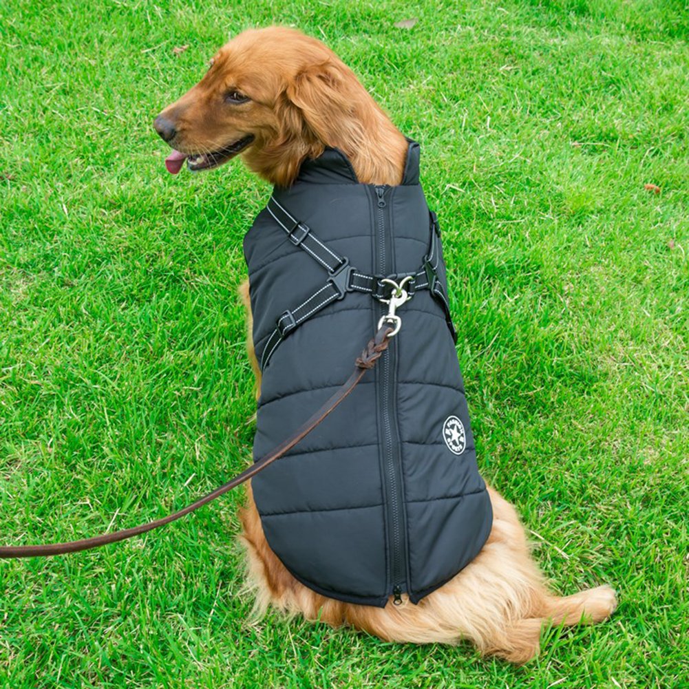 WoofGuard™- Wasserdichte Winterjacke mit integriertem Gurtzeug – Bild 25 von 25