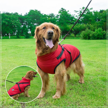 WoofGuard™- Wasserdichte Winterjacke mit integriertem Gurtzeug – Jacke & Mantel