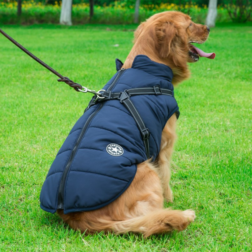 WoofGuard™- Wasserdichte Winterjacke mit integriertem Gurtzeug – Bild 23 von 25