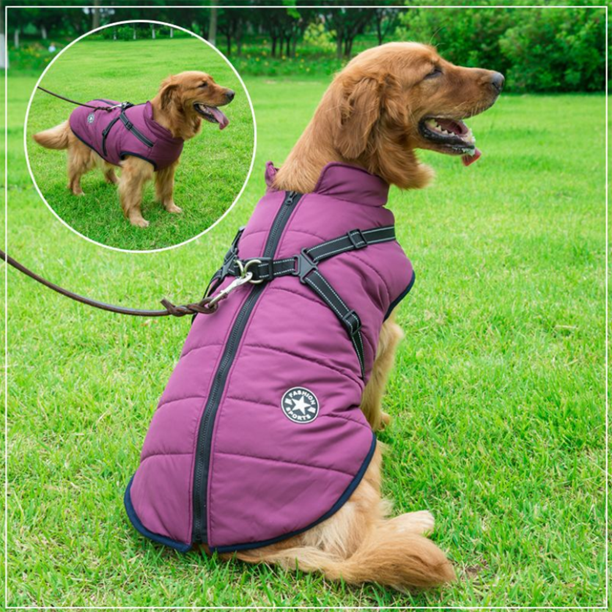 WoofGuard™- Wasserdichte Winterjacke mit integriertem Gurtzeug – Bild 8 von 25