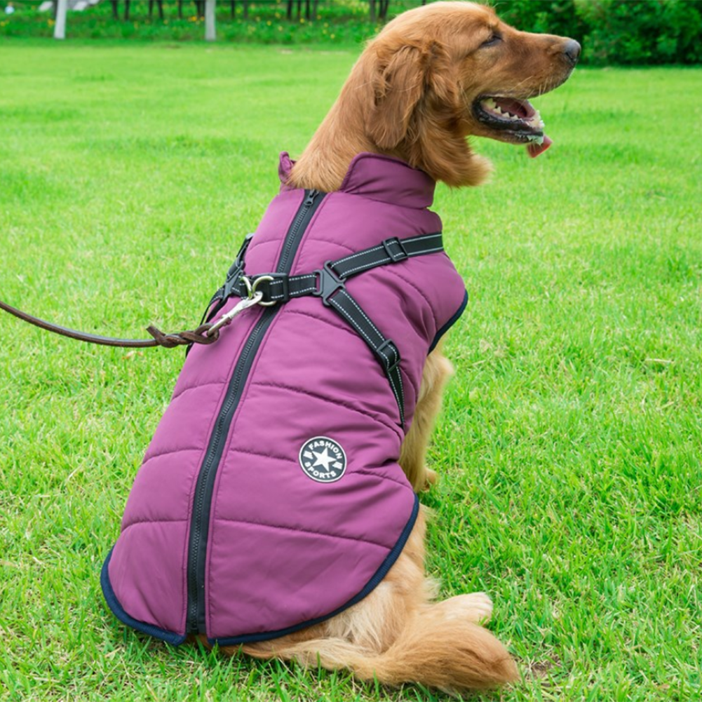 WoofGuard™- Wasserdichte Winterjacke mit integriertem Gurtzeug – Bild 21 von 25