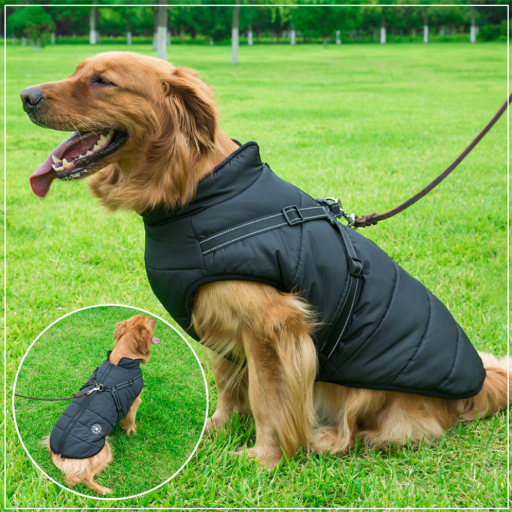 WoofGuard™- Wasserdichte Winterjacke mit integriertem Gurtzeug – Bild 4 von 25