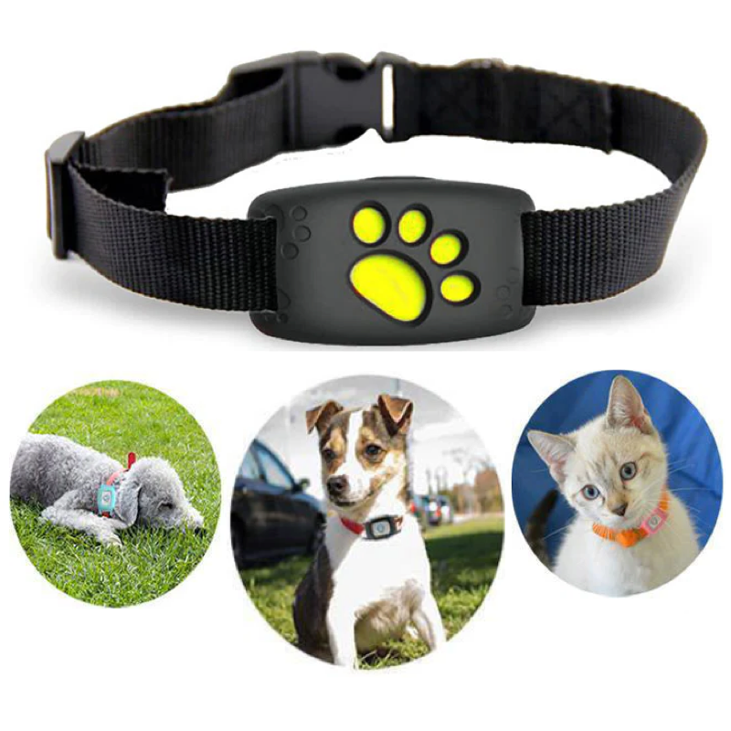 Smart GPS Katzenhalsband – Bild 7 von 7