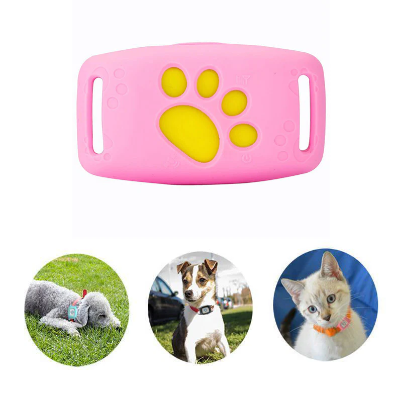 Smart GPS Katzenhalsband – Bild 5 von 7
